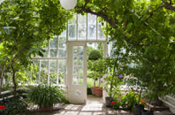 free Kingsley Holt orangery quotes
